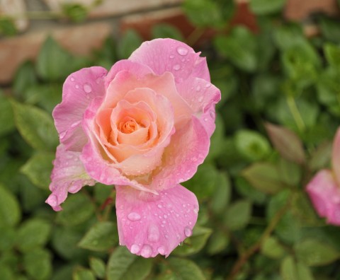 May_7